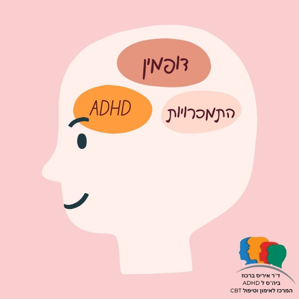 דופמין- הקשר ל ADHD ולהתמכרויות